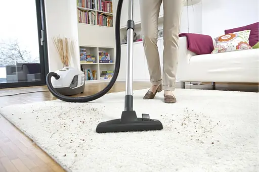 Пилосос миючий Karcher DS 6 Plus 650 Вт вода -2 л НЕРА білий - фото 10