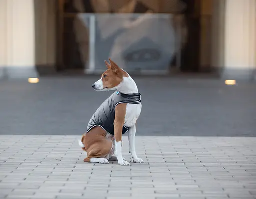 Куртка-накидка для собак AiryVest, XL, B 68-80 см, С 42-52 см чорний [CD] - фото 8