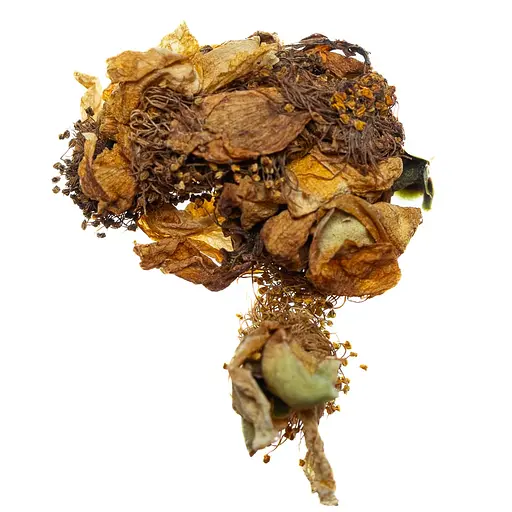 Квітковий чай Квіти Трапезунду - 50г - фото 8