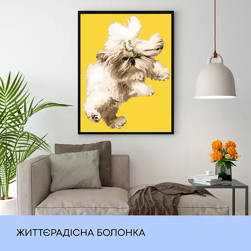 Набір для розпису по номерах "Життєрадісна болонка" 40*50 см, IDEA2-GX39267 - фото 3