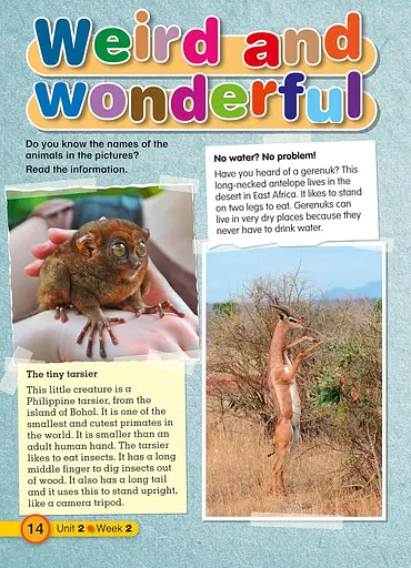 Explore English. Student's Resource Book. Stage 5 - фото 4