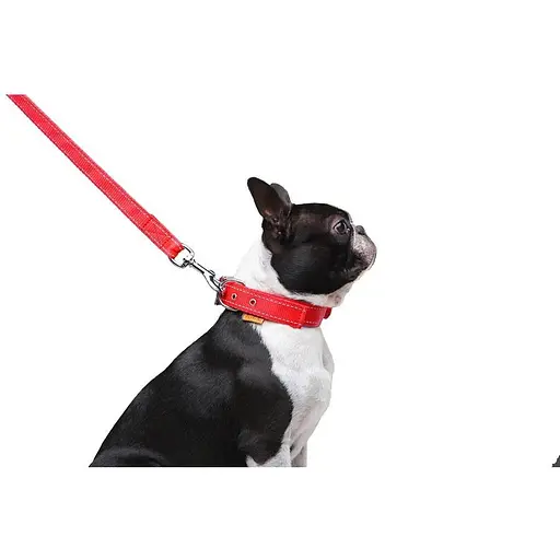 Поводок Dog Extreme из нейлона двойной (ширина 20мм, длина 122см), красный - фото 7