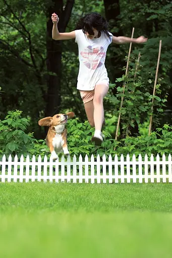 Садовое ограждение Prosperplast Garden Classic белое 3.2 м - фото 5