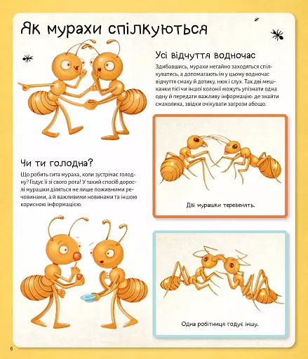 Світ мурах - фото 8