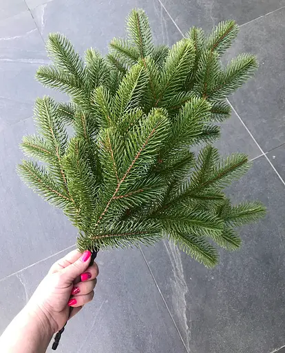 Гілка ялинки штучна Hvoya Lux оливкова 60 см 10 шт. - фото 2