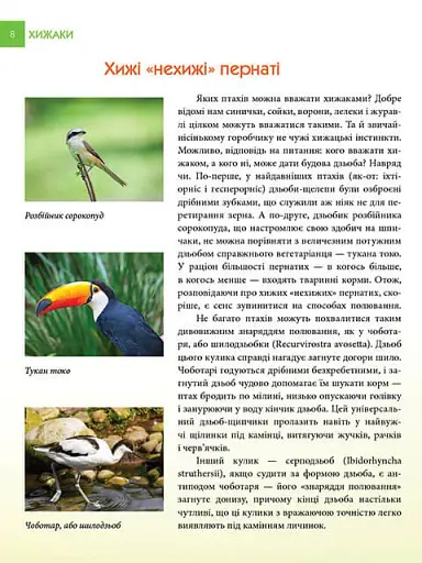 Енциклопедія для допитливих А5 : Хижаки (Українська, 01 КРЕЙДОВАНИЙ ) - фото 4