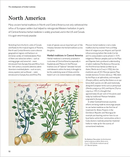 Encyclopedia of Herbal Medicine - фото 5