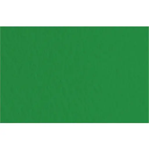 Папір для пастелі Fabriano Tiziano A4 (21х29.7см) №37 biliardo 160г/м2 зелений середнє зерно - фото 1