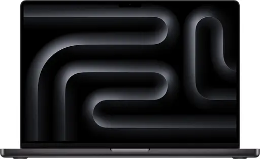 Ноутбук Apple MacBook Pro 16" Late 2024 Space Black (MX2Y3) - фото 1