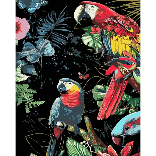 Набор для рисования по номерам Strateg Яркие попугаи на черном фоне 40 х 50 см (AH1201-19) - фото 1
