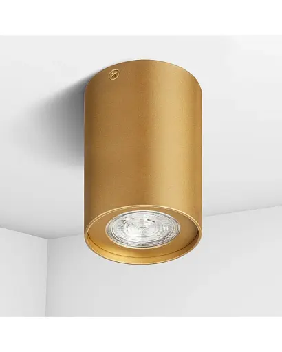 Точечный светильник накладной Imperium Light 48112.12.12 Tokyo GU10 1x50W IP20 Золотой - фото 1