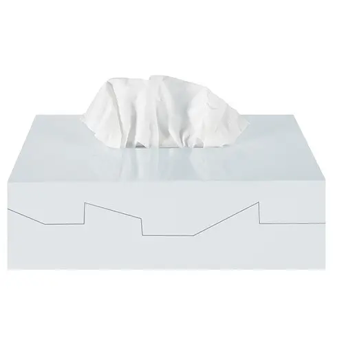 Бокс для серветок SILHOUETTE білий (10.19852)