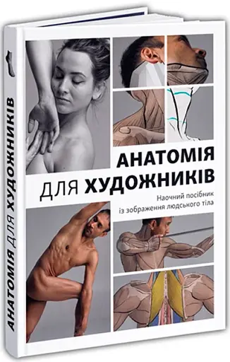 Анатомія для художників. Наочний посібник із зображення людського тіла - фото 2