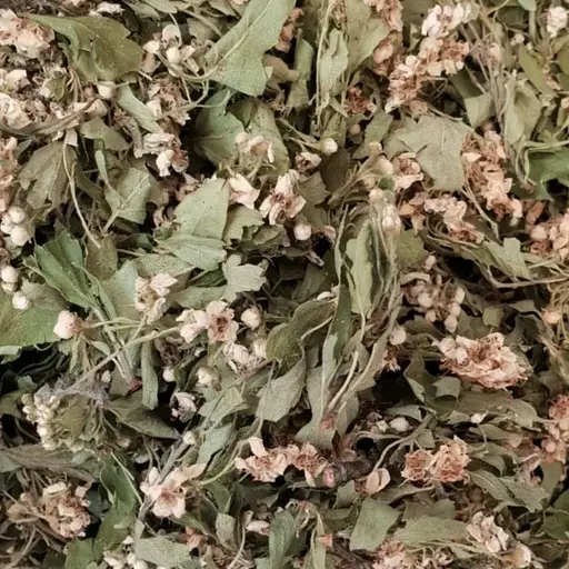 100 г глід цвіт сушений - свіжий урожай