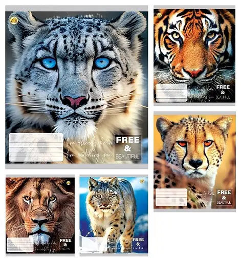 Зошити учнівські 24 аркуша клітинка Тверда ТЕ41308 Котики, 20 шт. в упаковці