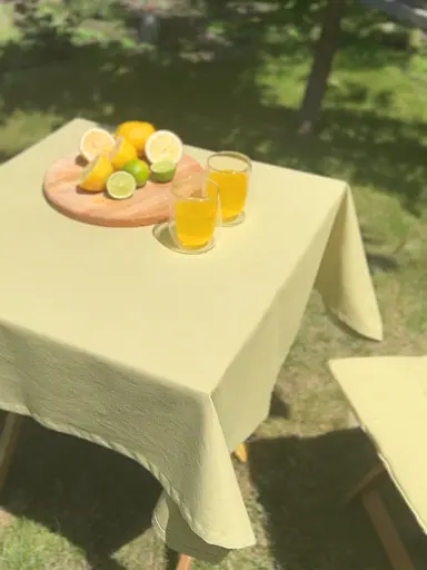 Водовідштовхувальна скатертина Оливковий однотон 240х140 см (+ 5 серветок 30х40) - фото 2