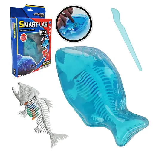 Іграшковий лабораторний набір Акула, 802B, скелет, внутрішні органи, інструмент