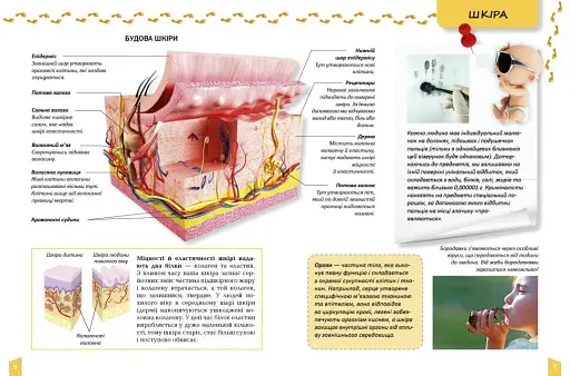 Про тіло людини Енциклопедія для допитливих - фото 2