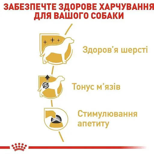 Вологий корм для собак породи пудель Royal Canin Poodle Loaf паштет 1.02 кг (12 шт. х 85 г) - фото 4