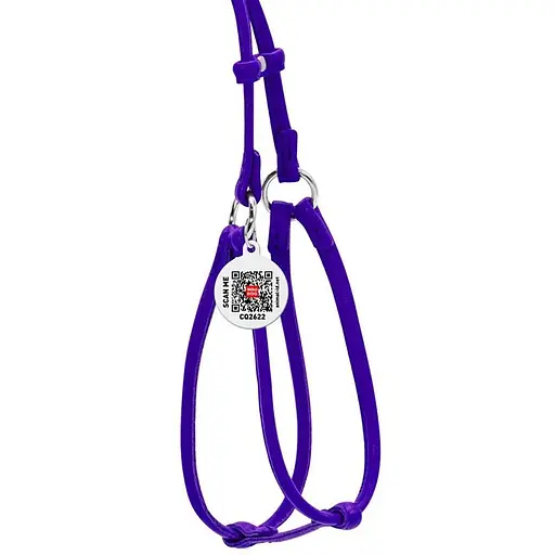 Шлея з повідцем для собак Waudog Glamour шкіряна з QR паспортом, кругла, фіолетовий - фото 2