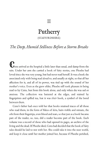 The Book of Lost Things Book 2: The Land of Lost Things - фото 7