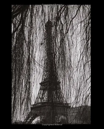 Paris Blues - фото 5