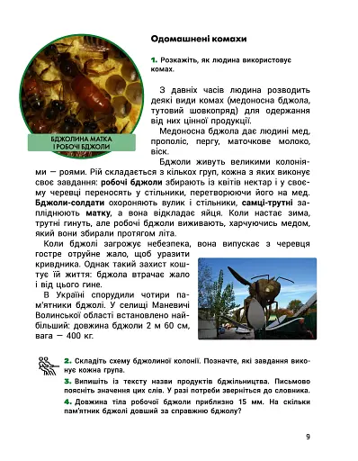 Я досліджую світ. Підручник. 3 клас. Частина 2 - фото 9