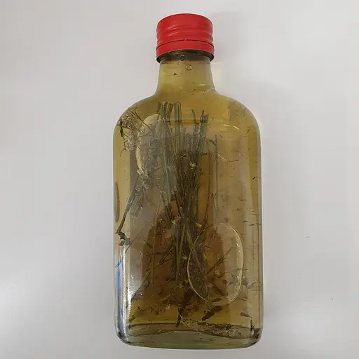 Настоянка на траві заткни гузно мелколепетсник канадський 200 мл - фото 2