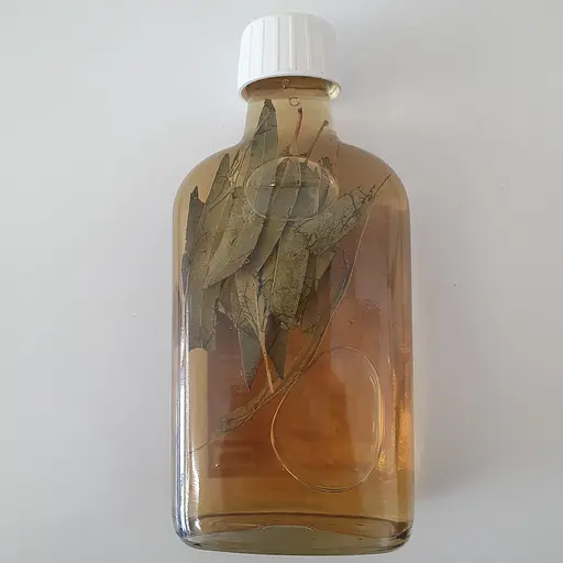 Водна настоянка на листі евкаліпту 200 мл - фото 2