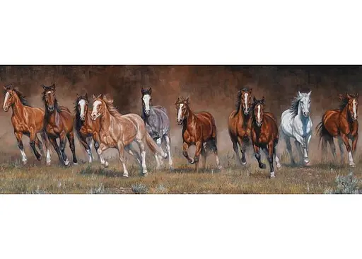 Пазл Anatolian Свобода 1000 эл. панорама (1010) - фото 2