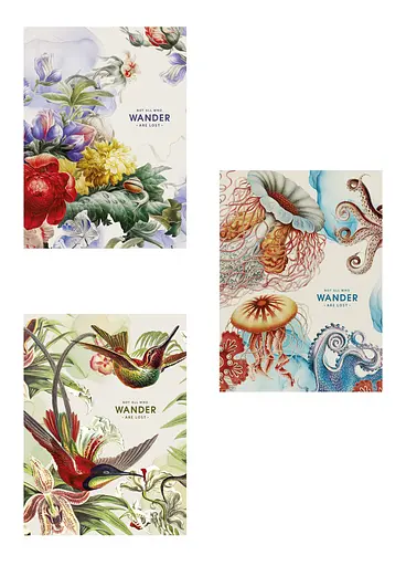 Комплект 3 шт общих тетрадей. Тетрадь Школярик А4 48 л. в линию 5081 4823088229776 - фото 1