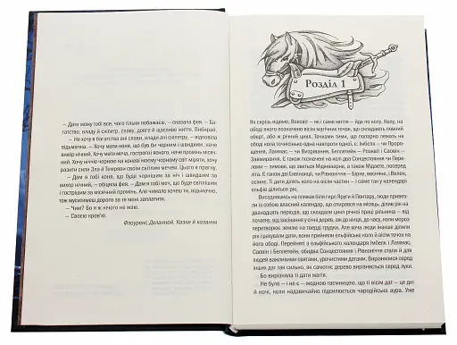 Відьмак. Вежа Ластівки. Книга 6 - фото 4