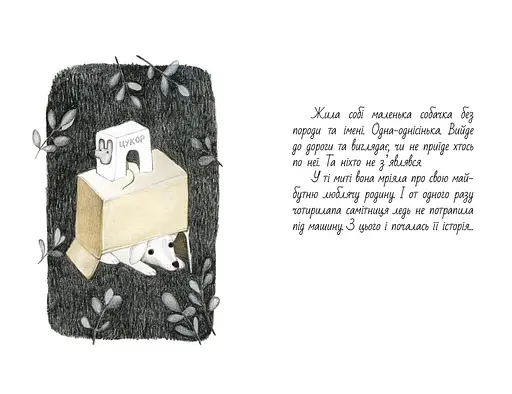 Книга Маєчка. Автор - Юлія Лактіонова (Nebo) - фото 3