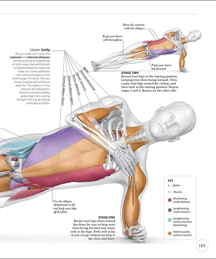 Science of Strength Training - фото 11