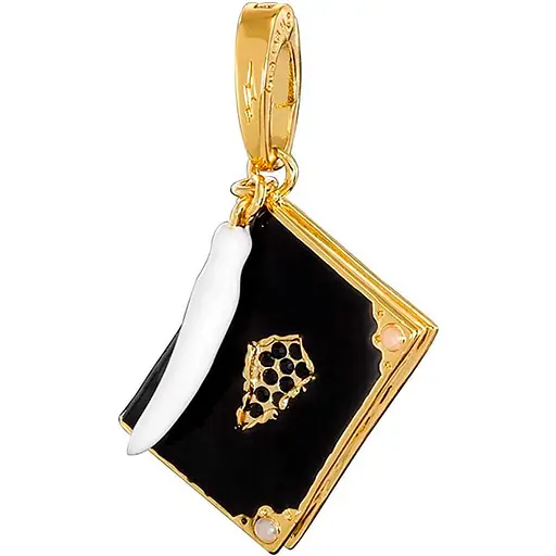 Підвіска Harry Potter Tom Riddle's Diary - Charm No.11 (Гаррі Поттер) - фото 1