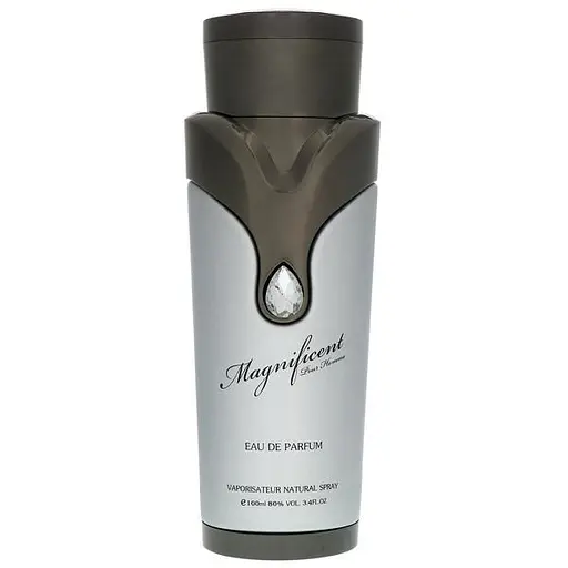 Парфумована вода Armaf Magnificent Pour Homme 100 мл