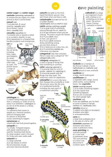 Illustrated English Dictionary (updated edition) - фото 5