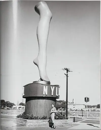 California Crazy. American Pop Architecture - фото 6