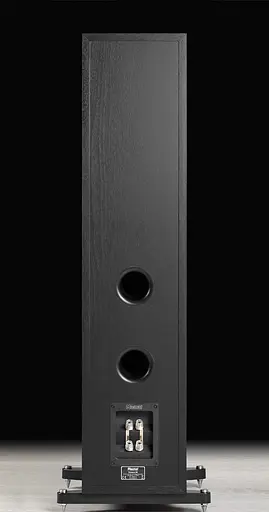 Напольная акустика Magnat Tempus 55 Black - фото 4