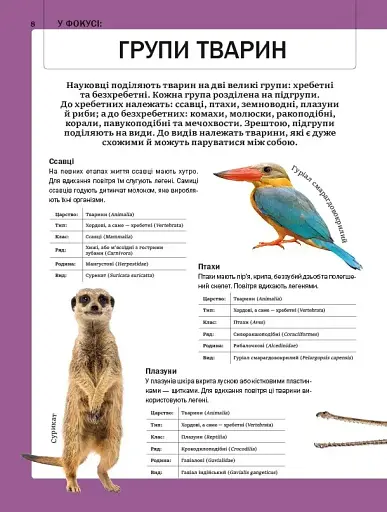 Велика книга тварин - фото 8
