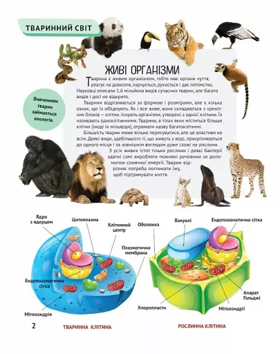 Тварини - фото 3