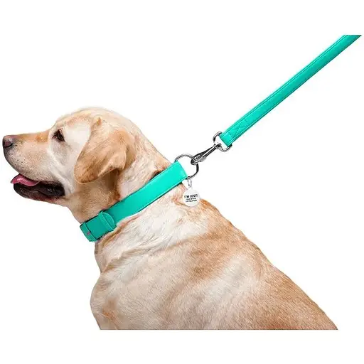 Повідець для собак Waudog Glamour шкіряний, ментоловий - фото 6