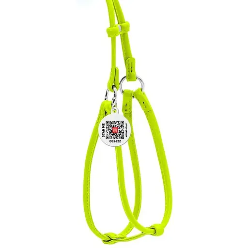 Шлея з повідцем для собак Waudog Glamour шкіряна з QR паспортом, кругла, салатовий - фото 2