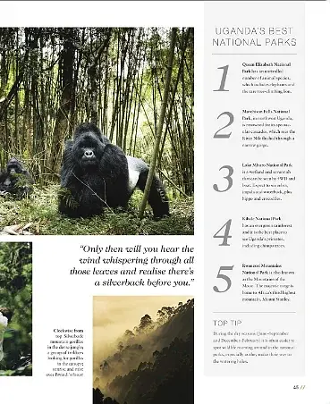 Where To Go When - фото 10