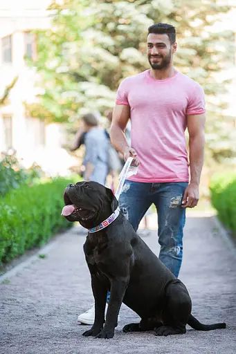 Ошейник для собак кожаный Waudog Design с QR-паспортом "Лето" XL Ш 35 мм Д 46-59 см белый - фото 8