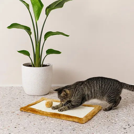 Когтеточка-коврик Trixie для кошек с игрушкой на веревке бежевая 55х35 см [CD] - фото 4