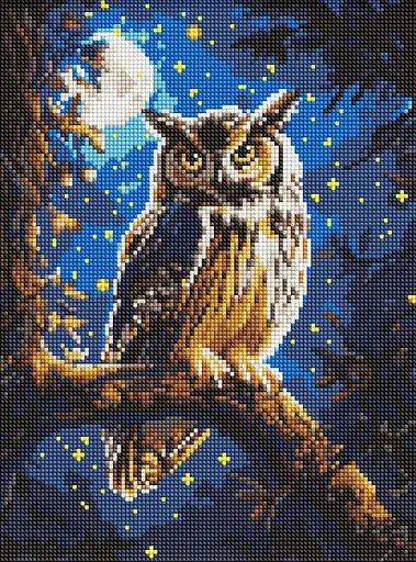 Набор с алмазной мозаикой на подрамнике Ночная сова Ideyka AMO8160 с АВ стразами, 30x40 см