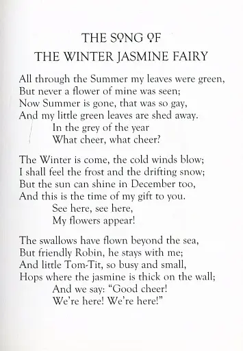 Flower Fairies of the Winter - фото 9