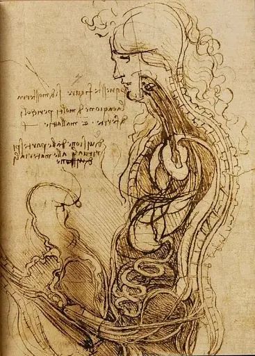 Leonardo. The Complete Paintings and Drawings - фото 11