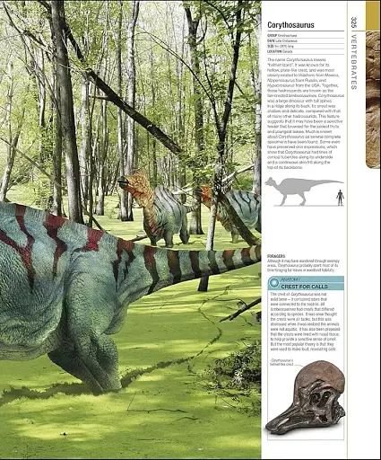 Dinosaurs and Prehistoric Life. The Definitive Visual Guide - фото 10